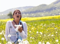 allergie-oplossen-hypnose allergie oplossen hypnose