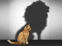 zelfbeeld-verhelpen-met-hypnose zelfbeeld verhelpen met hypnose