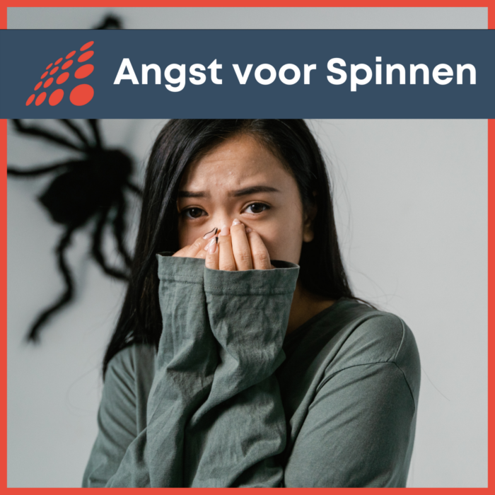 spinnenfobie