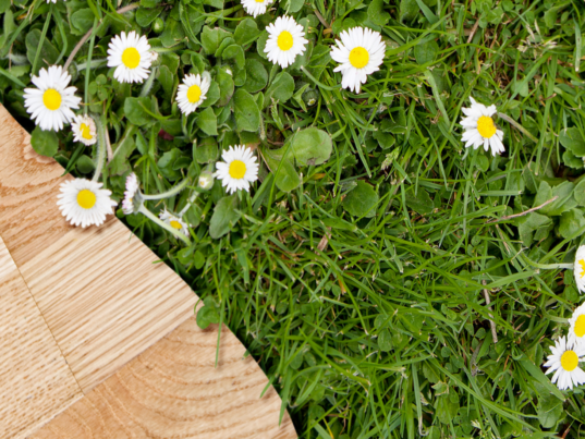 lenteschoonmaak je leven