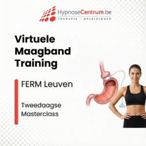 Virtuele maagband training