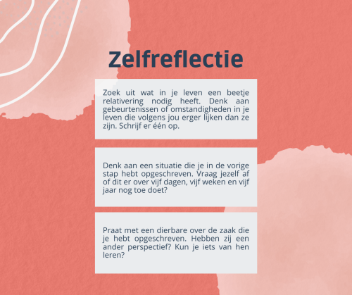 3 uitvoerbare stappen om tot zelfinzicht te komen